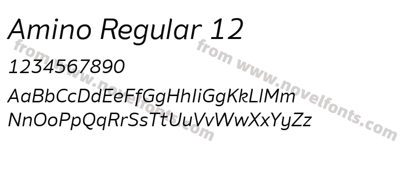 Amino Regular 12Preview