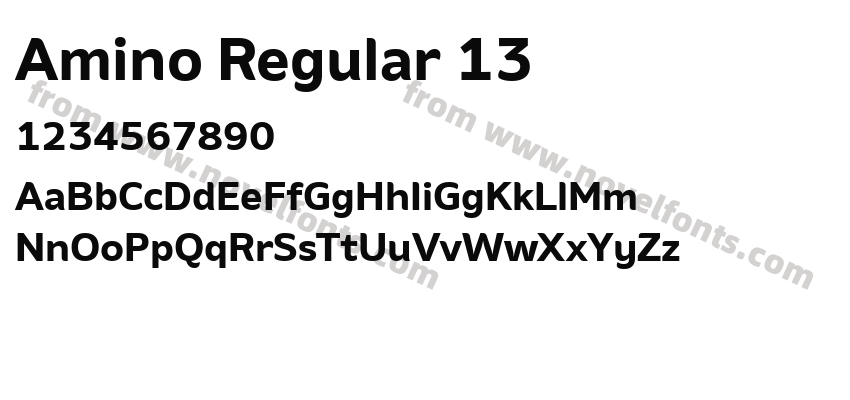 Amino Regular 13Preview