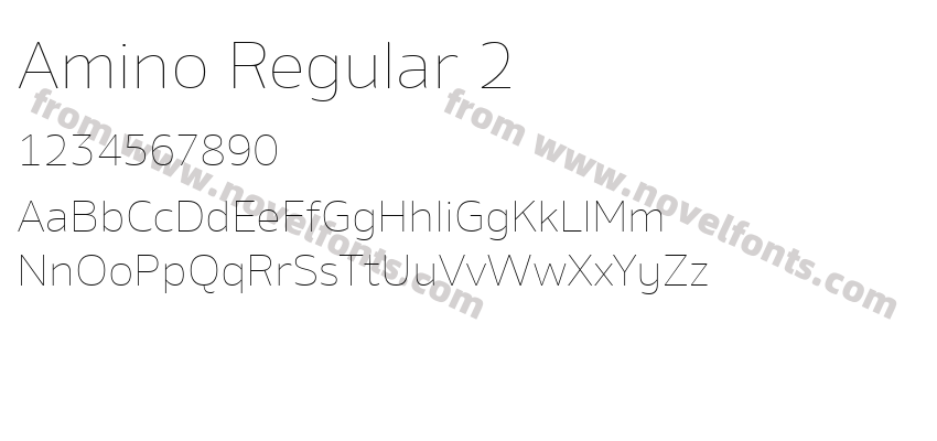 Amino Regular 2Preview