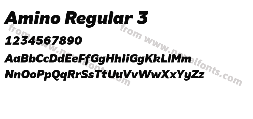 Amino Regular 3Preview