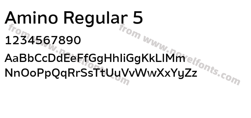 Amino Regular 5Preview