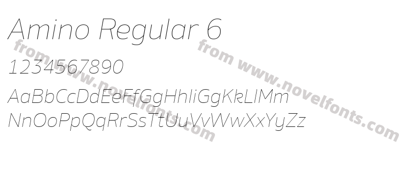 Amino Regular 6Preview