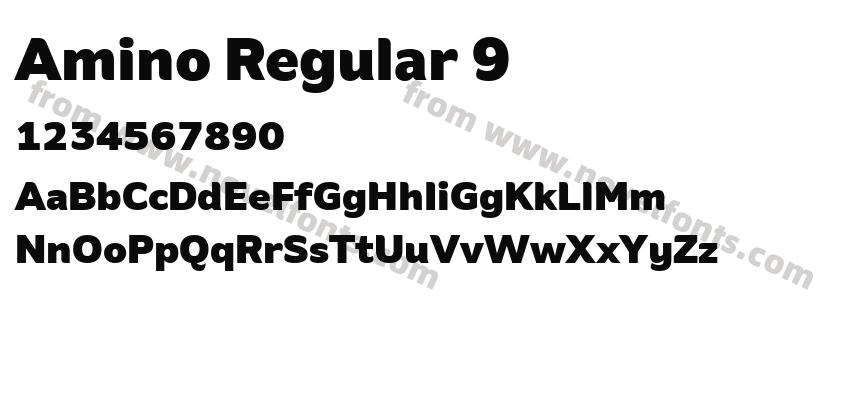 Amino Regular 9Preview