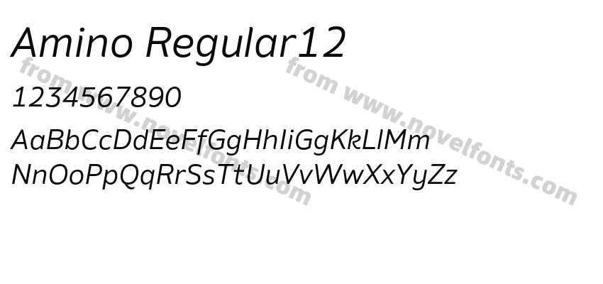 Amino Regular12Preview