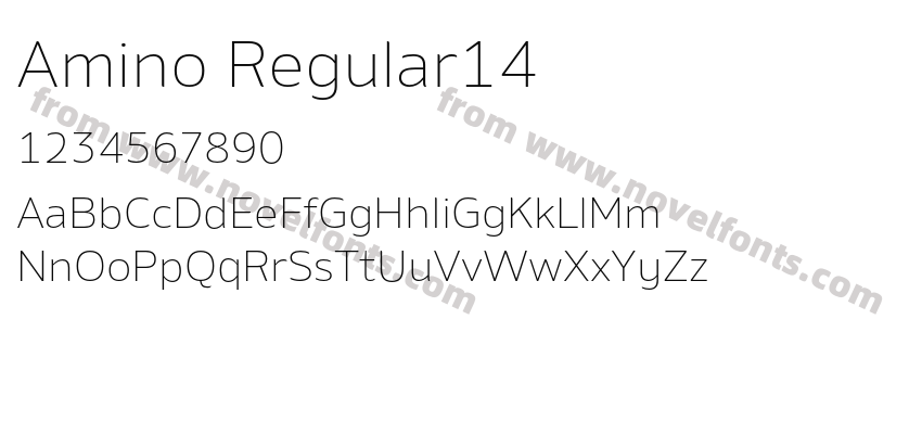 Amino Regular14Preview