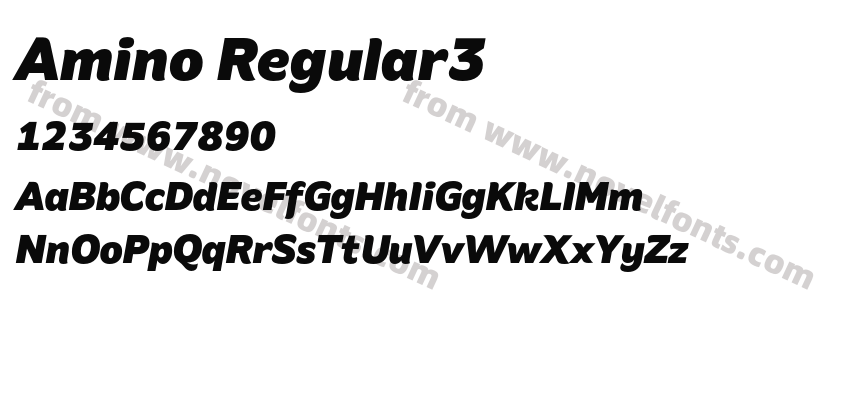 Amino Regular3Preview