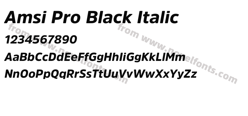 Amsi Pro Black ItalicPreview