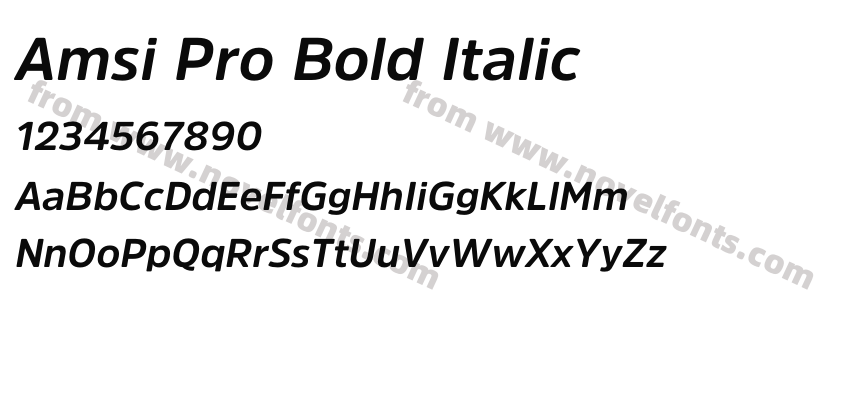 Amsi Pro Bold ItalicPreview