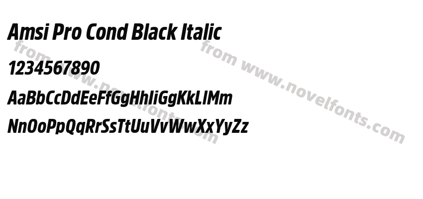 Amsi Pro Cond Black ItalicPreview