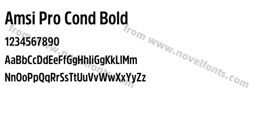 Amsi Pro Cond BoldPreview