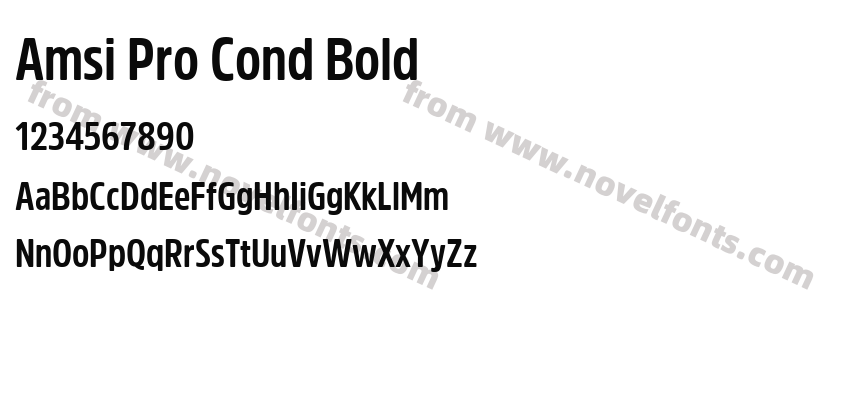 Amsi Pro Cond BoldPreview