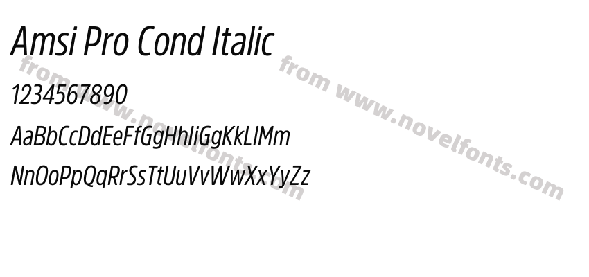 Amsi Pro Cond ItalicPreview