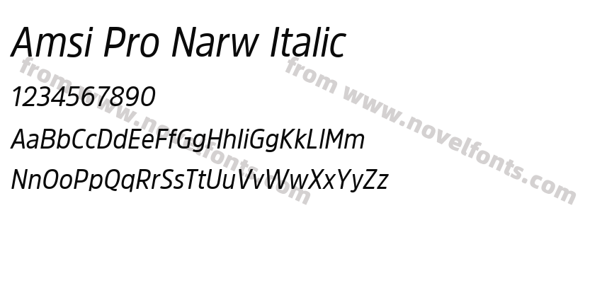 Amsi Pro Narw ItalicPreview