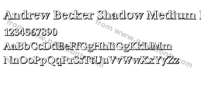 Andrew Becker Shadow Medium RegularPreview