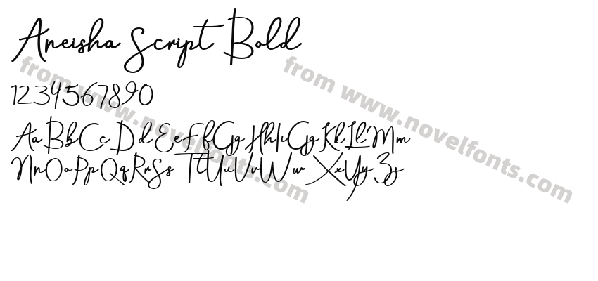 Aneisha Script BoldPreview