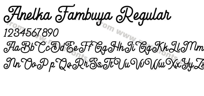 Anelka Fambuya RegularPreview