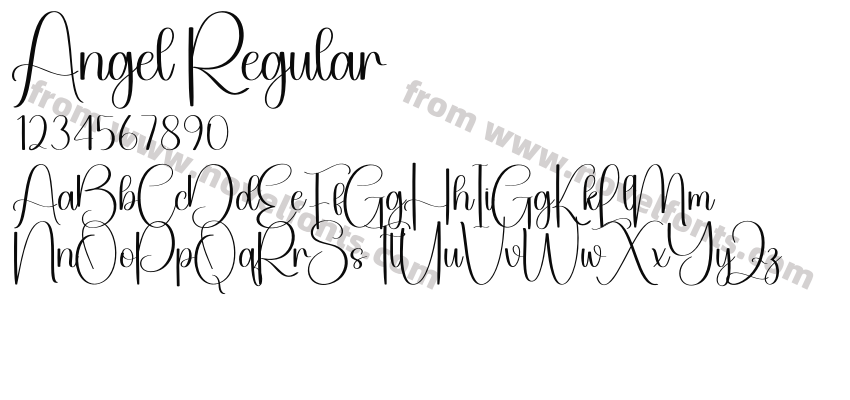Angel RegularPreview