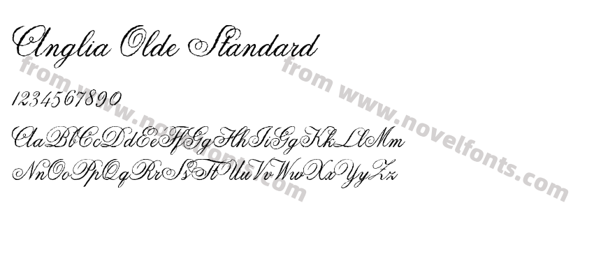 Anglia Olde StandardPreview
