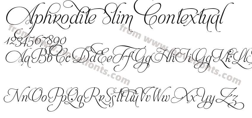 Aphrodite Slim ContextualPreview