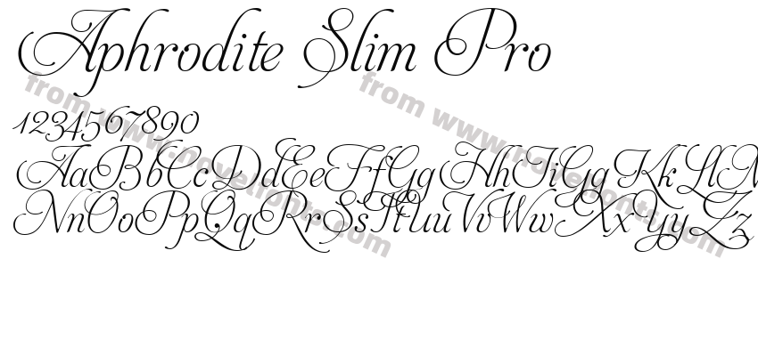 Aphrodite Slim ProPreview