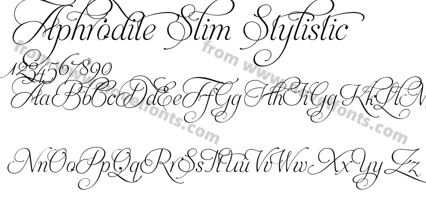 Aphrodite Slim StylisticPreview