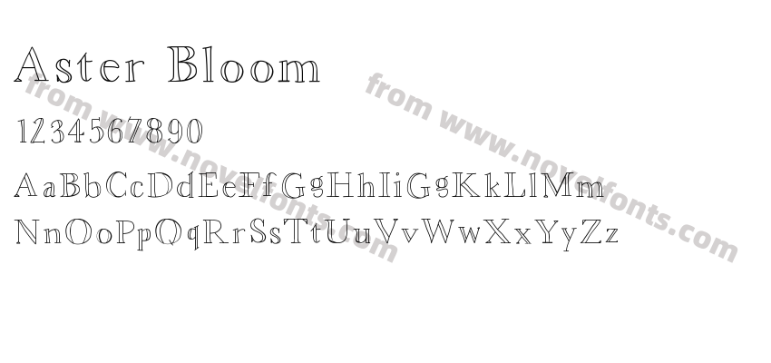 Aster BloomPreview