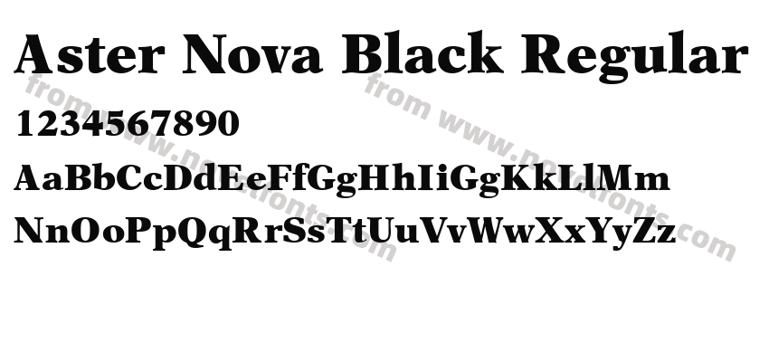 Aster Nova Black RegularPreview