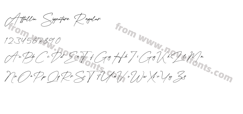 Attallia Signature RegularPreview