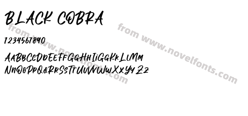 BLACK COBRAPreview