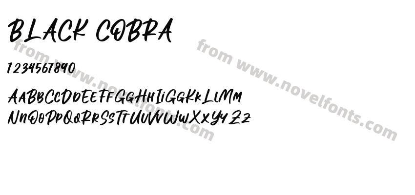 BLACK COBRAPreview
