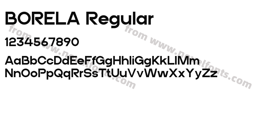 BORELA RegularPreview