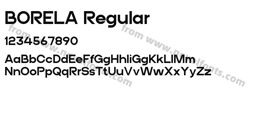 BORELA RegularPreview