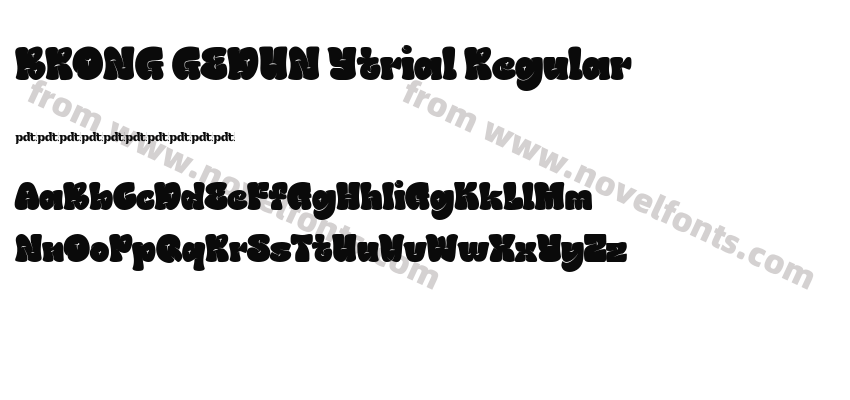 BRONG GEDUN Ytrial RegularPreview