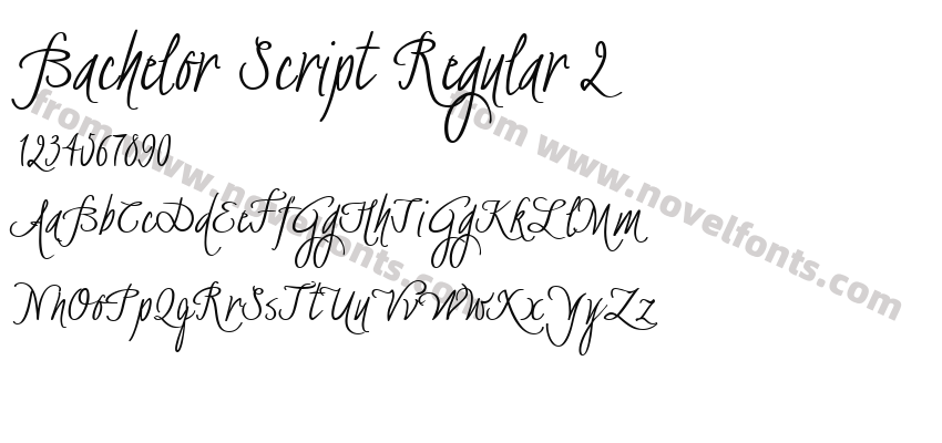 Bachelor Script Regular 2Preview