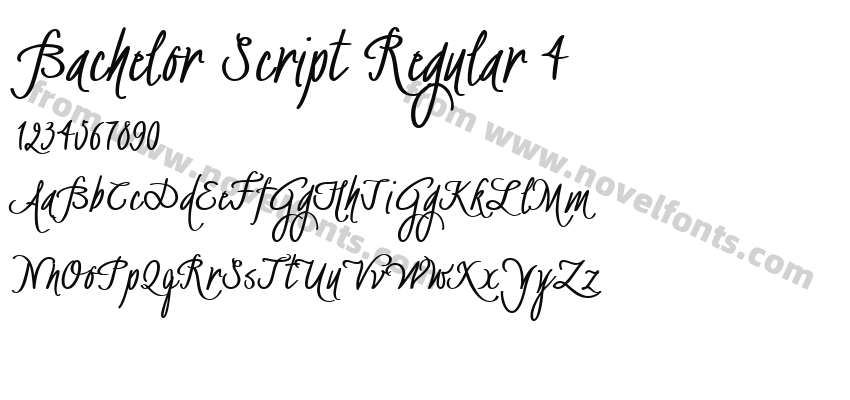 Bachelor Script Regular 4Preview