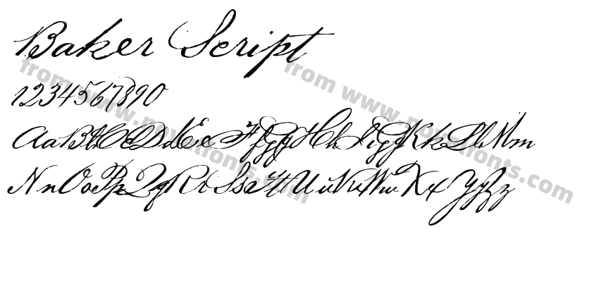 Baker ScriptPreview