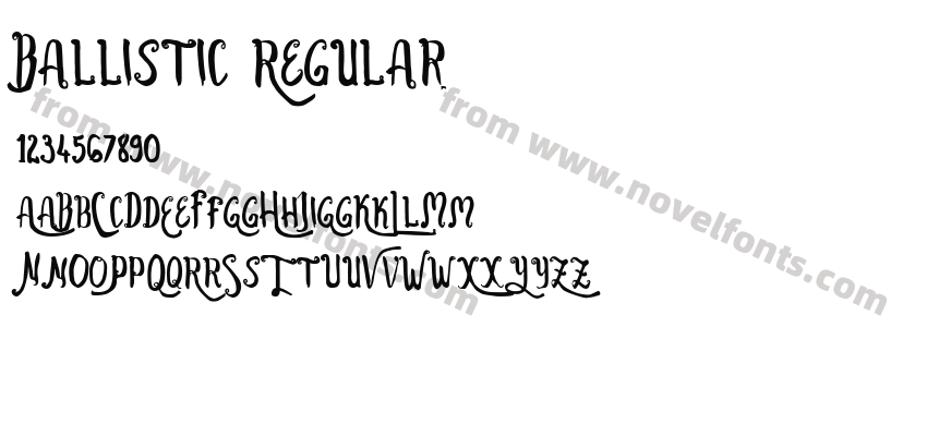 Ballistic RegularPreview