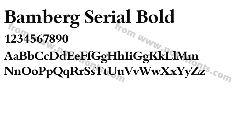 Bamberg Serial BoldPreview