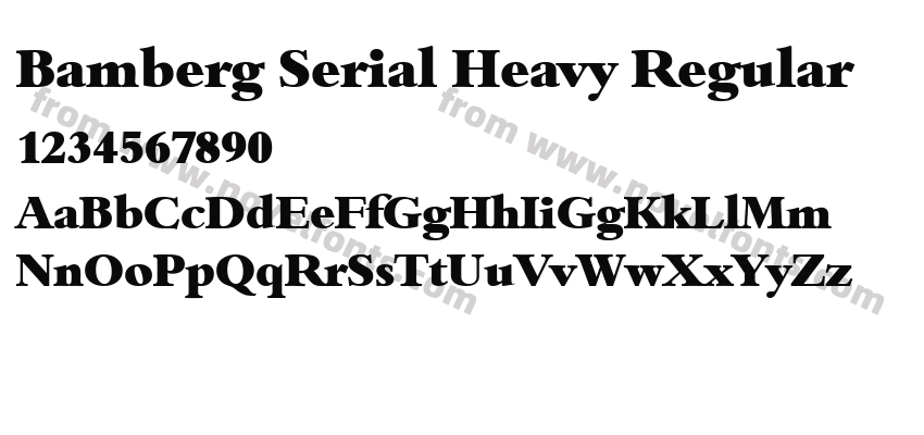 Bamberg Serial Heavy RegularPreview