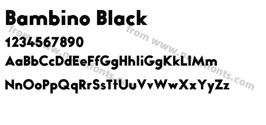 Bambino BlackPreview