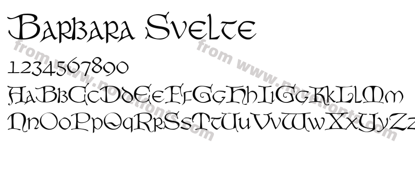 Barbara SveltePreview