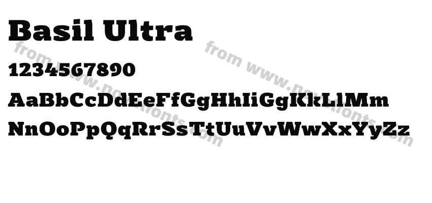 Basil UltraPreview