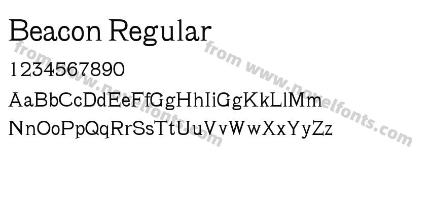 Beacon RegularPreview