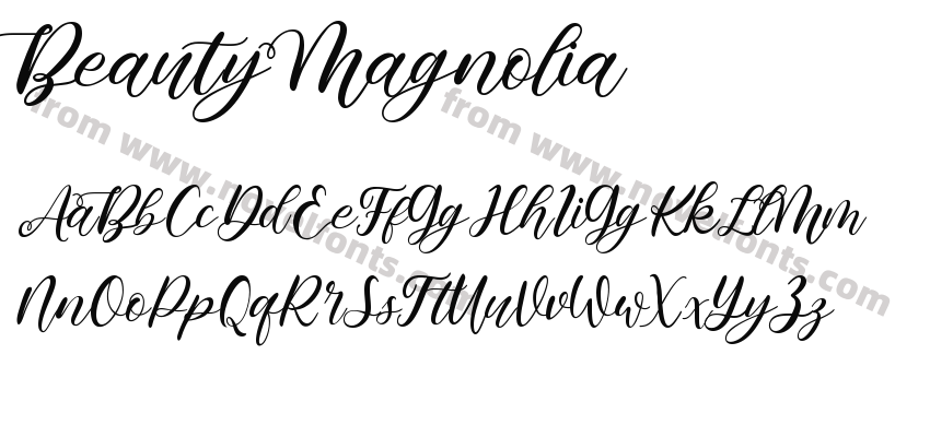 Beauty MagnoliaPreview