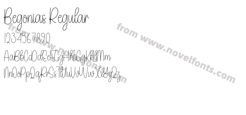 Begonias RegularPreview