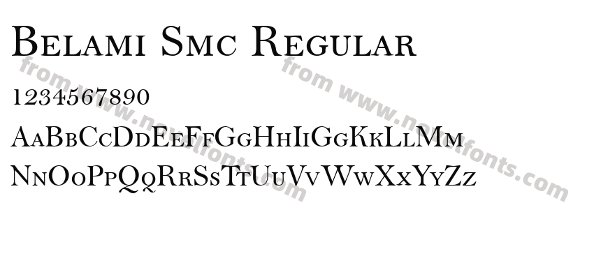 Belami Smc RegularPreview