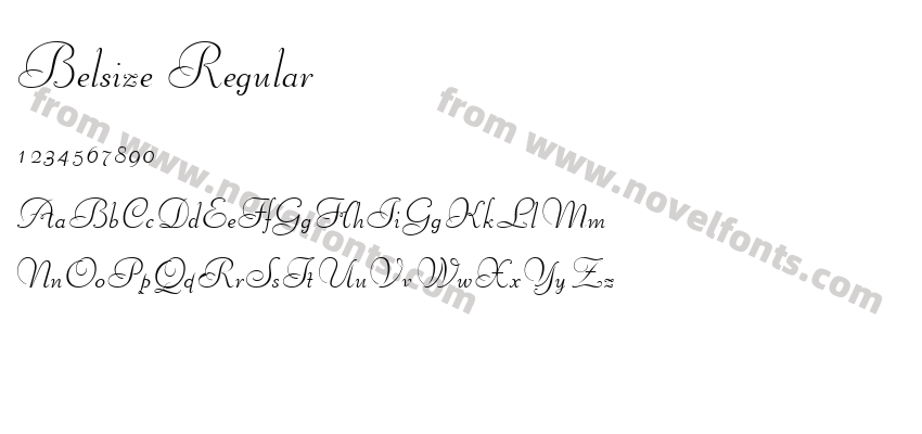Belsize RegularPreview
