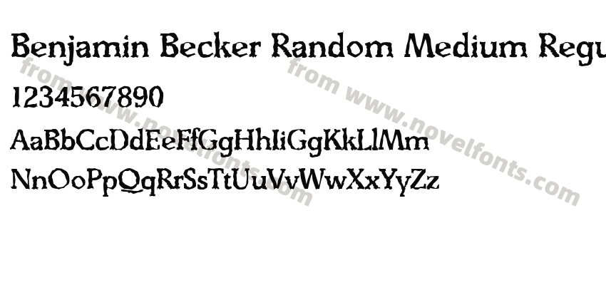 Benjamin Becker Random Medium RegularPreview