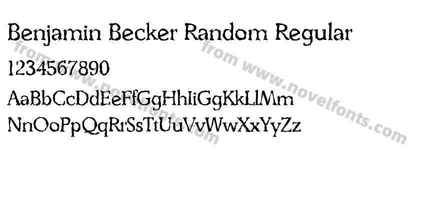 Benjamin Becker Random RegularPreview