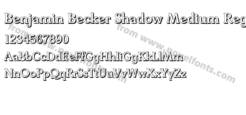 Benjamin Becker Shadow Medium RegularPreview